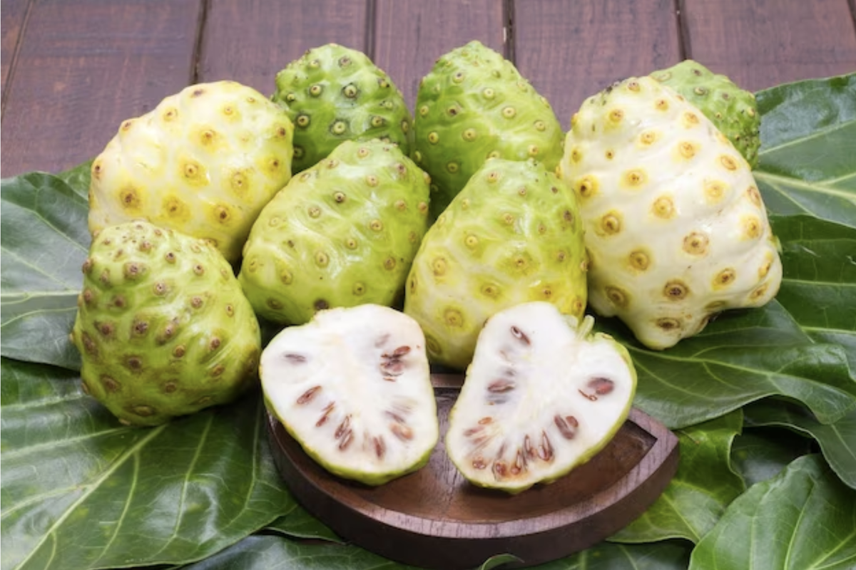 Manfaat Buah Mengkudu untuk Kesehatan, Baik untuk Kolesterol hingga Diabetes