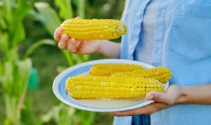 Manfaat Jagung untuk Kesehatan, Bisa Melancarkan Pencernaan dan Menjaga Kesehatan Mata