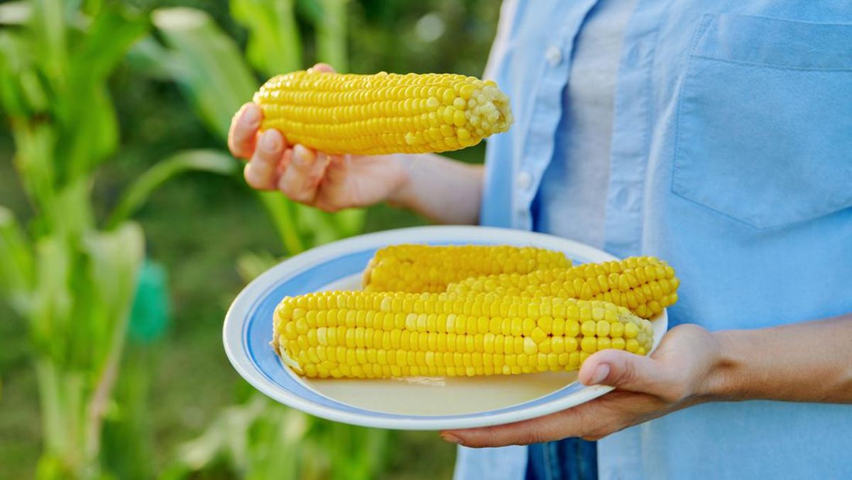 Manfaat Jagung untuk Kesehatan, Bisa Melancarkan Pencernaan dan Menjaga Kesehatan Mata