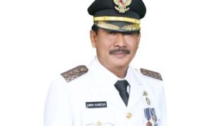 Profil Amir Hamzah, Perjalanan Karier hingga Menjadi Wali Kota Binjai