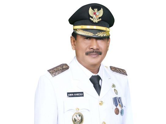 Profil Amir Hamzah, Perjalanan Karier hingga Menjadi Wali Kota Binjai
