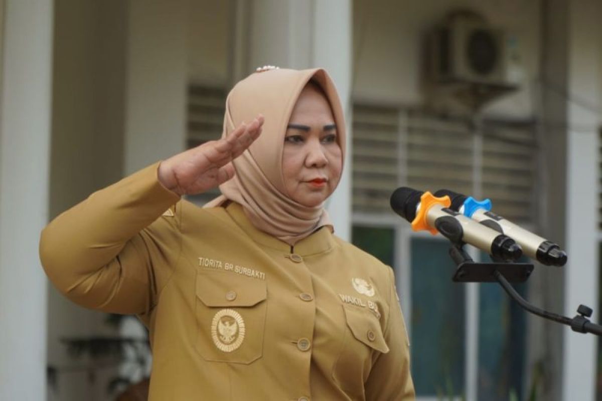 Profil Tiorita Br. Surbakti Wakil Bupati Langkat