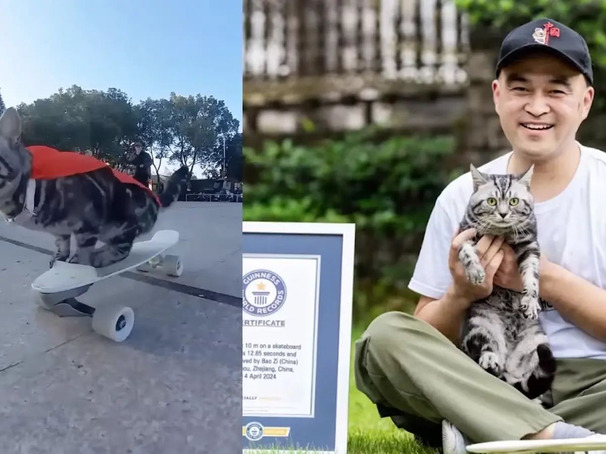 Rekor Dunia Aneh yang Bikin Tercengang, Dari Mesin Cuci Terkecil hingga Skateboard Kucing