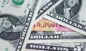 dolar