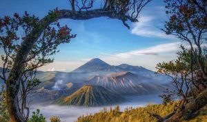 Jelajahi Wisata Batu dengan Private Tour: Liburan Bebas Ribet!
