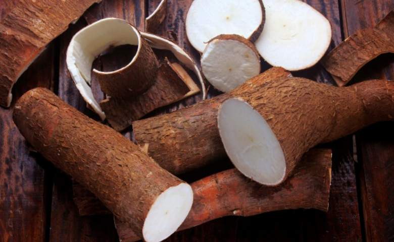 Manfaat Singkong untuk Kanker, Benarkah Bisa Mengatasi Penyakit Ini?