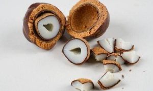 Buah Zuriat untuk Promil, Apakah Efektif? Begini Penjelasannya!