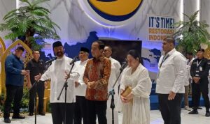 Presiden ke-7 RI Joko Widodo