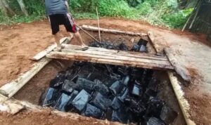 12 ton cincau berformalin yang berasal dari olahan pabrik di Kampung Kadugenep, Kecamatan Petir, Kabupaten Serang