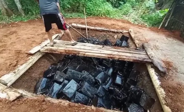 12 ton cincau berformalin yang berasal dari olahan pabrik di Kampung Kadugenep, Kecamatan Petir, Kabupaten Serang