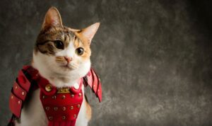 5 Hewan Peliharaan Kerajaan Paling Aneh Sepanjang Sejarah