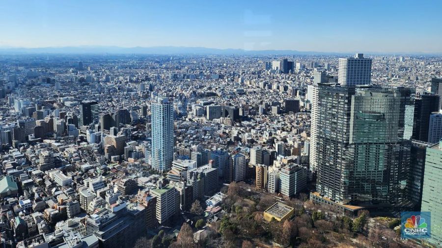Pemandangan kota dari gedung Pemerintah Metropolis Tokyo