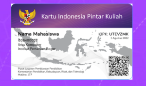 Ilustrasi KIP Kuliah.