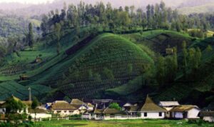 Desa Tertinggi di Indonesia, Destinasi Wisata Alam dengan Pemandangan Spektakuler