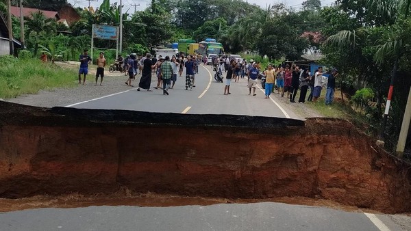 Jalan Amblas di Jambi, Jalur Sumbar-Jambi Lumpuh Total!