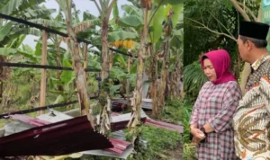 Kadis LHK Sumut Dilaporkan ke Polda, Diduga Perintahkan Pembongkaran Pagar di Hutan Lindung