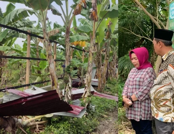 Kadis LHK Sumut Dilaporkan ke Polda, Diduga Perintahkan Pembongkaran Pagar di Hutan Lindung