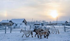 Kehidupan Ekstrem di Yakutia, Menyusuri Wilayah Terdingin yang Dihuni Manusia