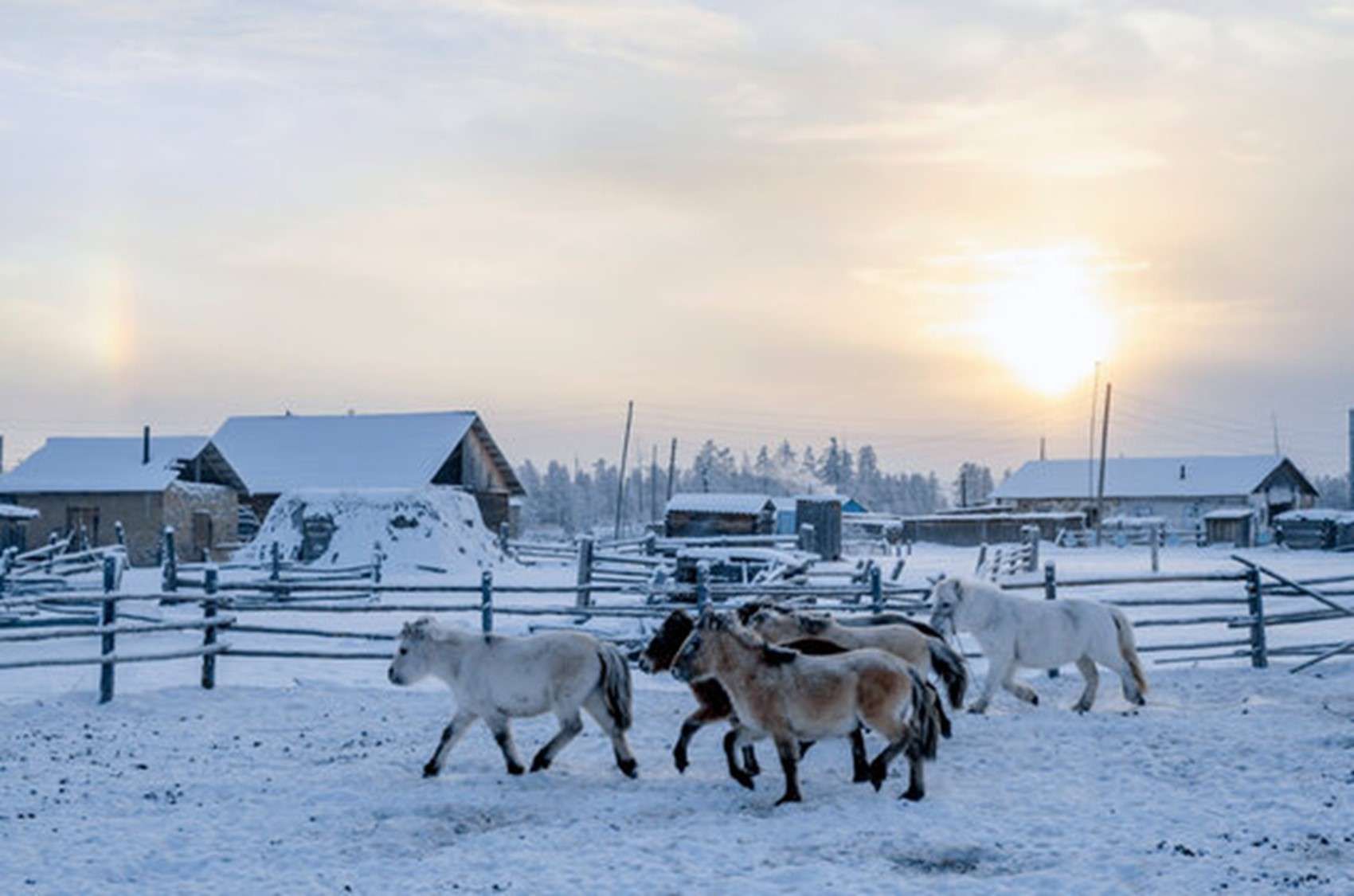 Kehidupan Ekstrem di Yakutia, Menyusuri Wilayah Terdingin yang Dihuni Manusia