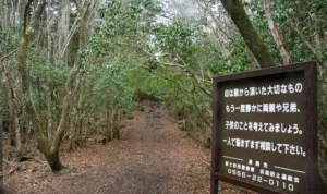 Misteri Hutan Aokigahara, "Hutan Bunuh Diri" di Jepang