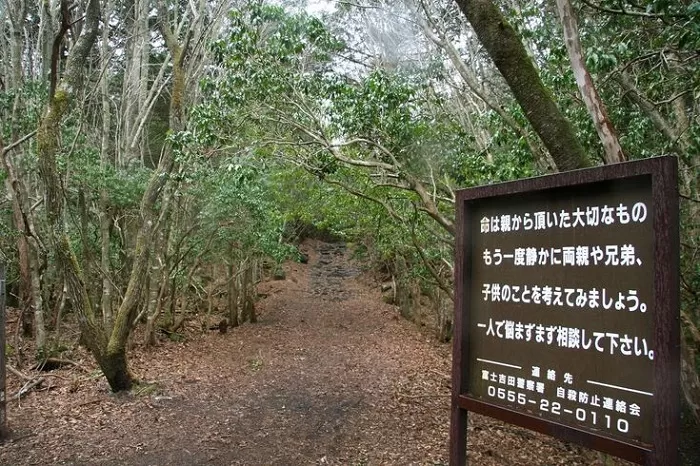 Misteri Hutan Aokigahara, "Hutan Bunuh Diri" di Jepang