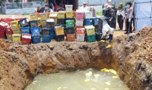 Polda Sumut Gagalkan Penyelundupan 4 Ton Mangga Ilegal Asal Thailand