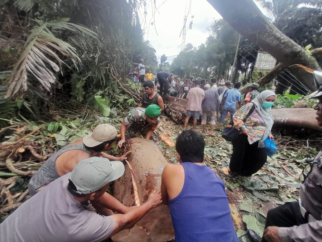 Personil Koramil 19/Siais, Kodim 0212/Tapsel dan masyarakat kompak saat evakuasi pohon tumbang di lajur jalan raya Padangsidimpuan-Sibolga, Kamis (6/3-25). Foto : BP/Ist