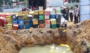 mangga yang diamankan.(Istimewa)
