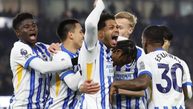 Prediksi Skor Brighton vs Fulham, Liga Inggris Musim 2025, 08 Maret 2025