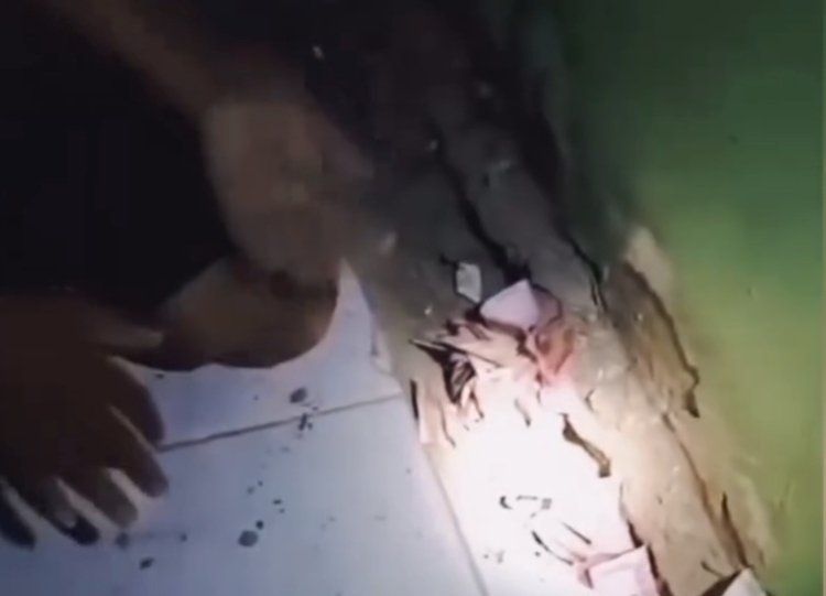 uang senilai Rp22 juta yang diduga dibawa lari oleh seekor tikus (lambeturah.co.id)