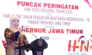 Gubernur Jawa Timur Khofifah Indar Parawansa (detik.com)