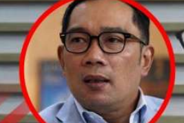 Ridwan kamis (kompas.com)