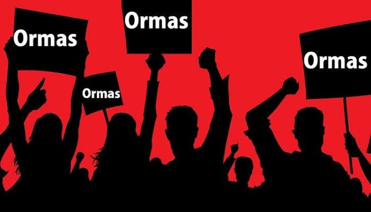 Keberadaan ormas makin menjamur di Indonesia (lambeturah.co.id)