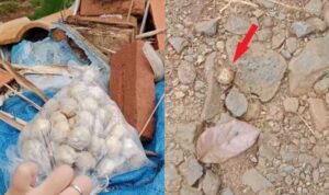 Perkara Makan Bakso di Rumah Tetangga Saat Lebaran, Warga Lampung Timur Disuruh Ganti 1 Kg