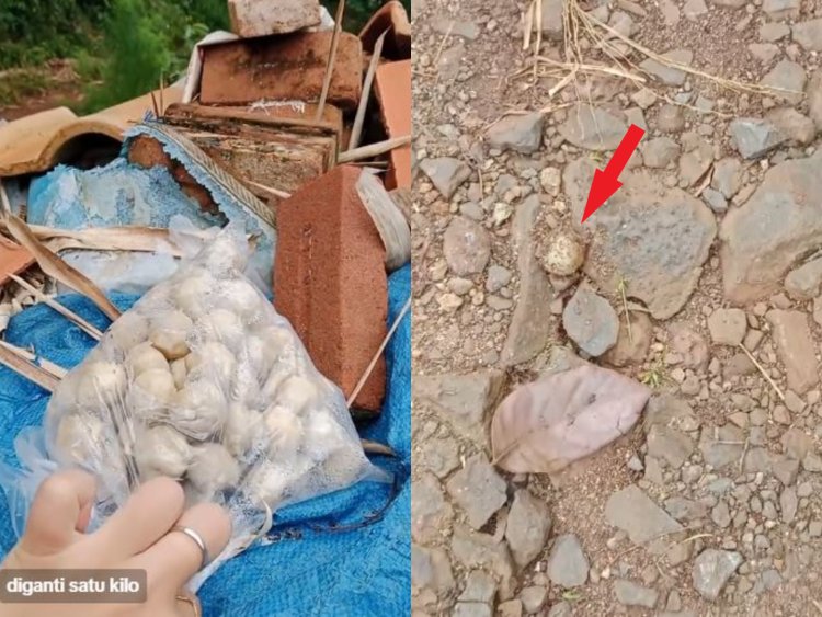 Perkara Makan Bakso di Rumah Tetangga Saat Lebaran, Warga Lampung Timur Disuruh Ganti 1 Kg