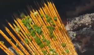 Restoran di China Jual Tusuk Sate Berbumbu Tanpa Daging (Lambeturah.co.id)