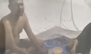 Wabah Lalat Bikin Warga Terpaksa Makan Dalam Kelambu