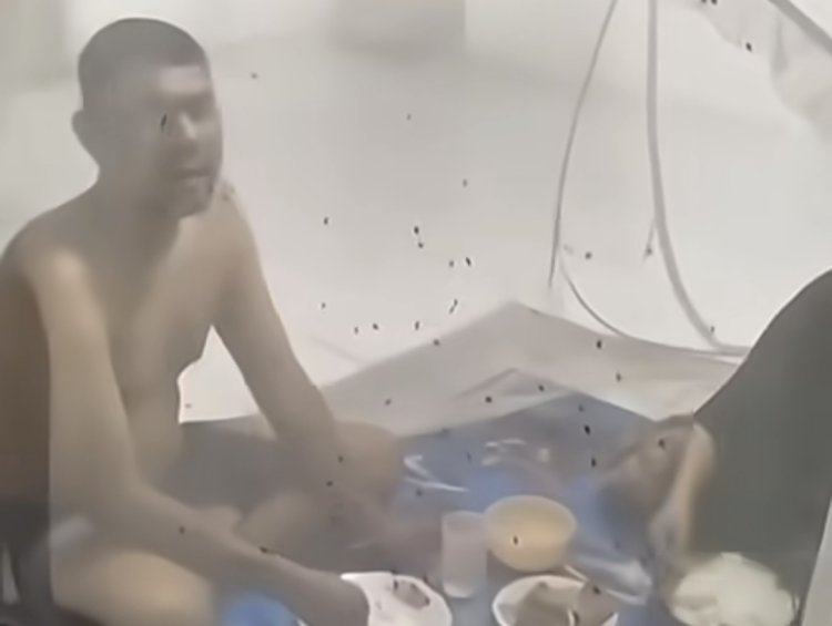 Wabah Lalat Bikin Warga Terpaksa Makan Dalam Kelambu