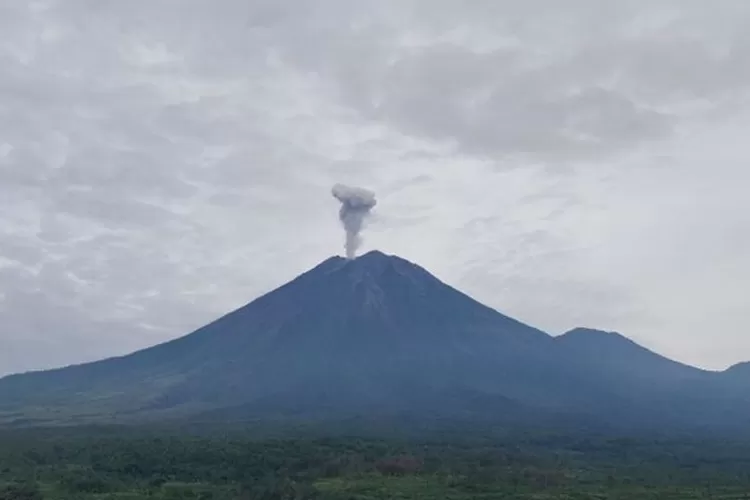 Gunung Semeru Erupsi Lagi, Masyarakat Diminta Waspada