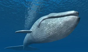 Kisah Nabi Yunus AS Ditelan Ikan Paus Penuh Hikmah yang Menginspirasi Umat Islam
