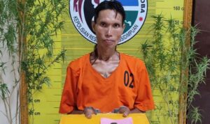 Penggerebekan Narkoba di Kota Padangsidimpuan, Pria Penanam Ganja Ditangkap Polisi