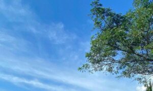 Prakiraan Cuaca Medan Hari Ini 10 April 2025, Cek Sebelum Keluar Rumah