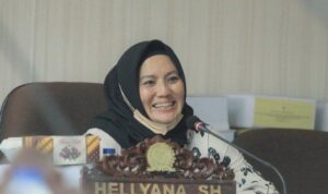 Profil Hellyana Wakil Gubernur Bangka Belitung Terpilih