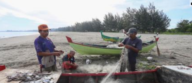 Sejumlah nelayan mengambil ikan yang terperangkap jaring di kawasan pantai Lam Awe, Aceh Besar
