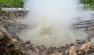 Semburan Lumpur Panas di Mandailing Natal Meluas, Rusak Lahan dan Cemari Sungai