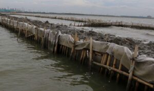 Skandal Pemalsuan Sertifikat Pagar Laut Bekasi Seret Kades dan 8 Perangkat Desa