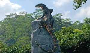 Tugu Patung Biawak Viral Jadi Daya Tarik Wisata Wonosobo, Karya Seniman Lokal