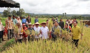 Bupati Tapanuli Selatan (Tapsel) Gus Irawan Pasaribu dan Forkopimda saat mengikuti Panen Raya secara Nasional bersama Presiden RI Prabowo Subianto melalui Daring dari Desa Pargarutan Julu Angkola Timur, Senin (7/4-25). Foto : BP/Ist