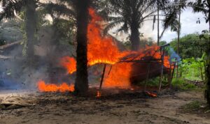 TNI dan Polri bakar gubuk atau lokasi judi.(Istimewa)