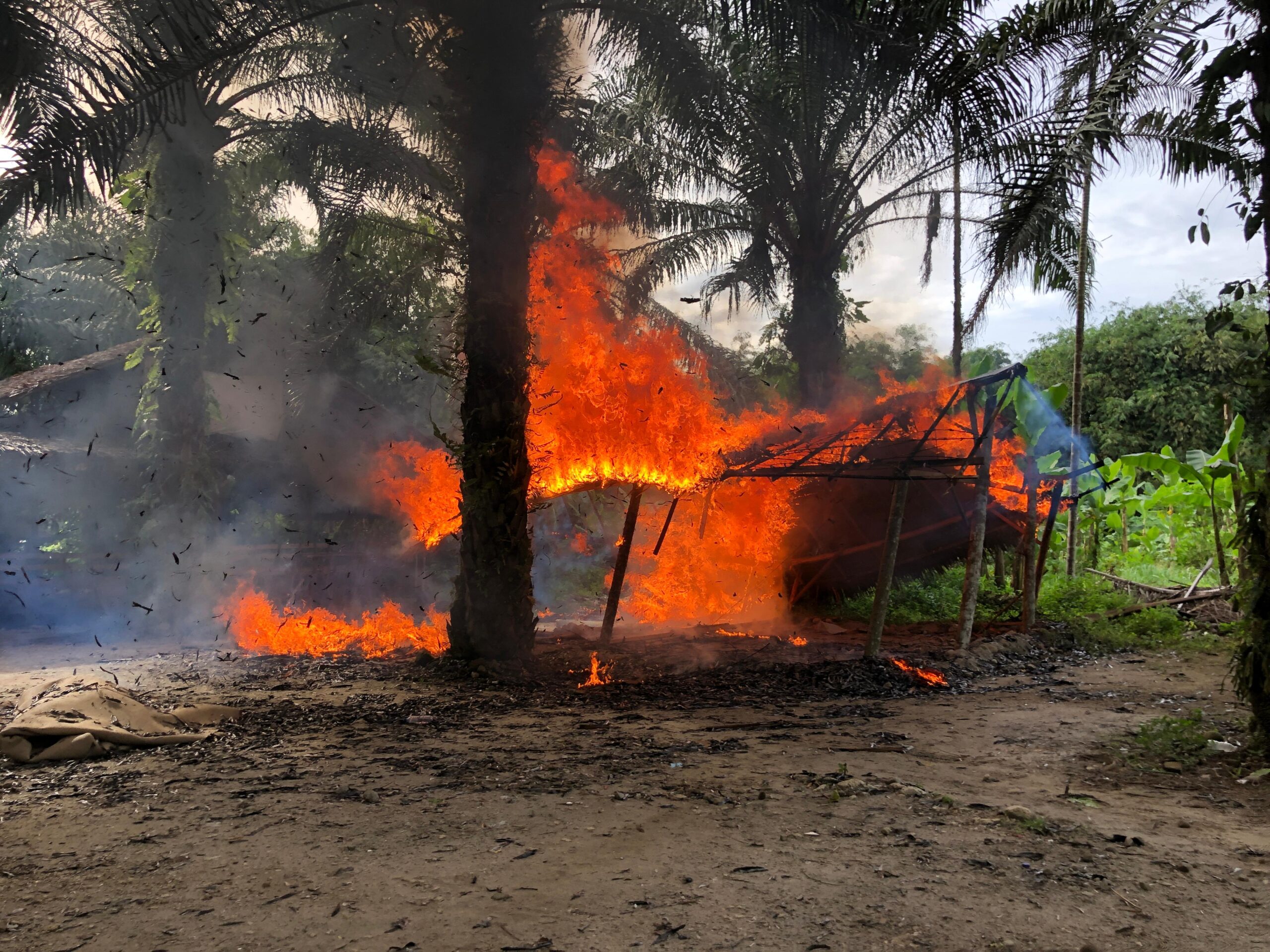 TNI dan Polri bakar gubuk atau lokasi judi.(Istimewa)
